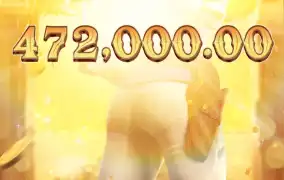 피지 와일드바운티