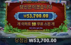 5프로즌 구매입니당