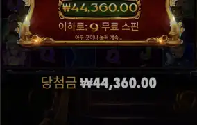 캐롤메가 무한구매가즈아ㅏㅏ