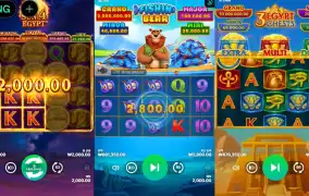 부 운 고 멀 티 슬 롯 *