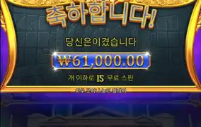 올푸1000 2