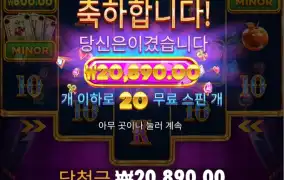 와일드 와일드 조커