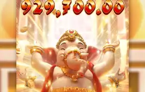 신의 가호가 내렸네요