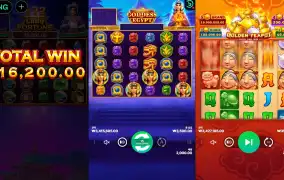 와 레이디포춘 미쳤