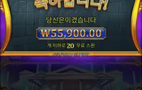 올푸1000 2