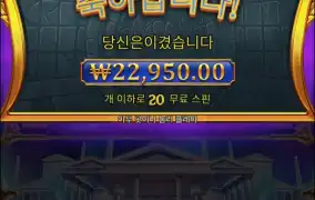 올푸1000 다이스