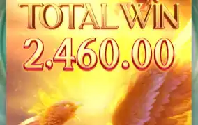 Pg 가디언즈 안주네