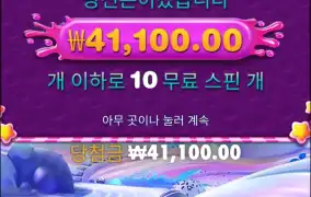 스위트보난자1000