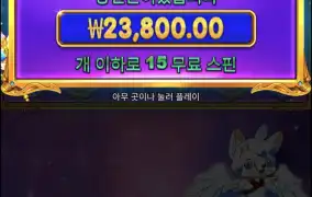 스피드리뷰 20배