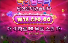 슈가러쉬 슈퍼스케터 10콩 도전기