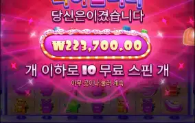 한번더 슈가스캐터