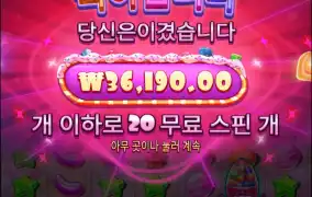 20바퀴 기대한내가 바보지