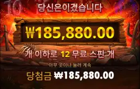 허허 10콩써서 먹긴했네..