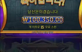 올푸1000 다이스
