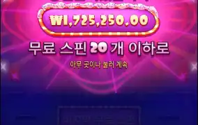 바오가지노리뷰