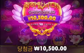 2콩정도 먹은건가??