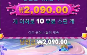 스위트보난자1000