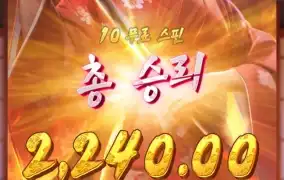 피지소프트 게이샤