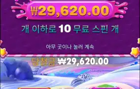 스위트보난자1000