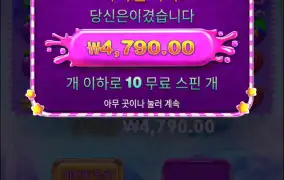 스위트보난자슈퍼스캐터