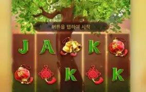 PG SOFT / Tree Of Fortune