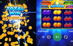 번개 제대로 맞았네 ㅅㅅ