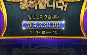 올림푸스1000 다이스