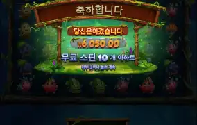 후르츠아마존