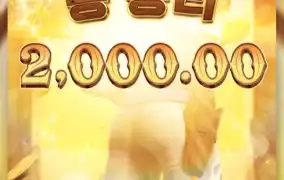 Pg와일드바운티