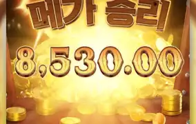 Pg와일드바운티 바닥