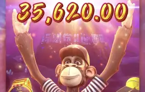 피지 와일드 한판더