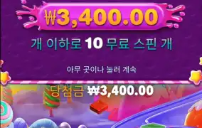 보난자다이스1000