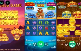 부 운 고 멀 티 슬 롯 패 버 리 기