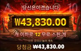 오늘은 안주니...