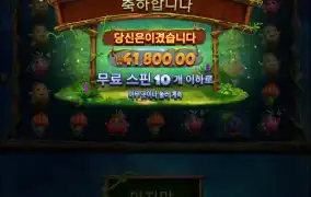 후르츠아마존