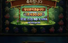 후르츠아마존