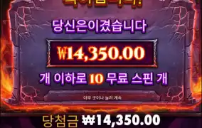 와일드 보너스.