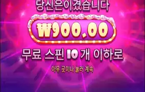 슈가1000