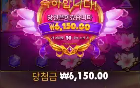 트와일라잇 프린세스