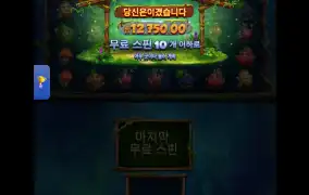 후르츠아마존2