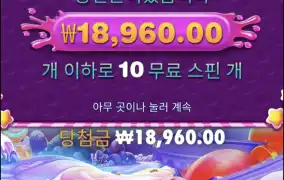 스위트보난자1000다이스