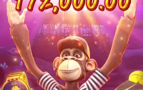 원숭이 시키 안주네..