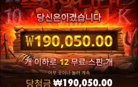 롤릴용 블러드 던 6콩