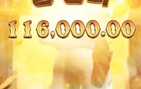 대회 시작해볼까?