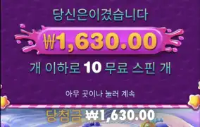스위트보난자1000