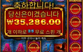 파이어 스템피드