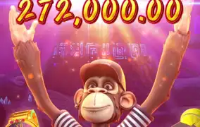 우리원숭이 또 안주넴