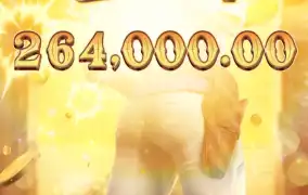 대회는 쇼다운이지