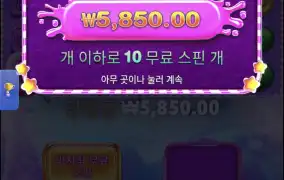 스위트보난자스캐터