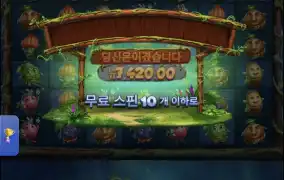후르츠아마존